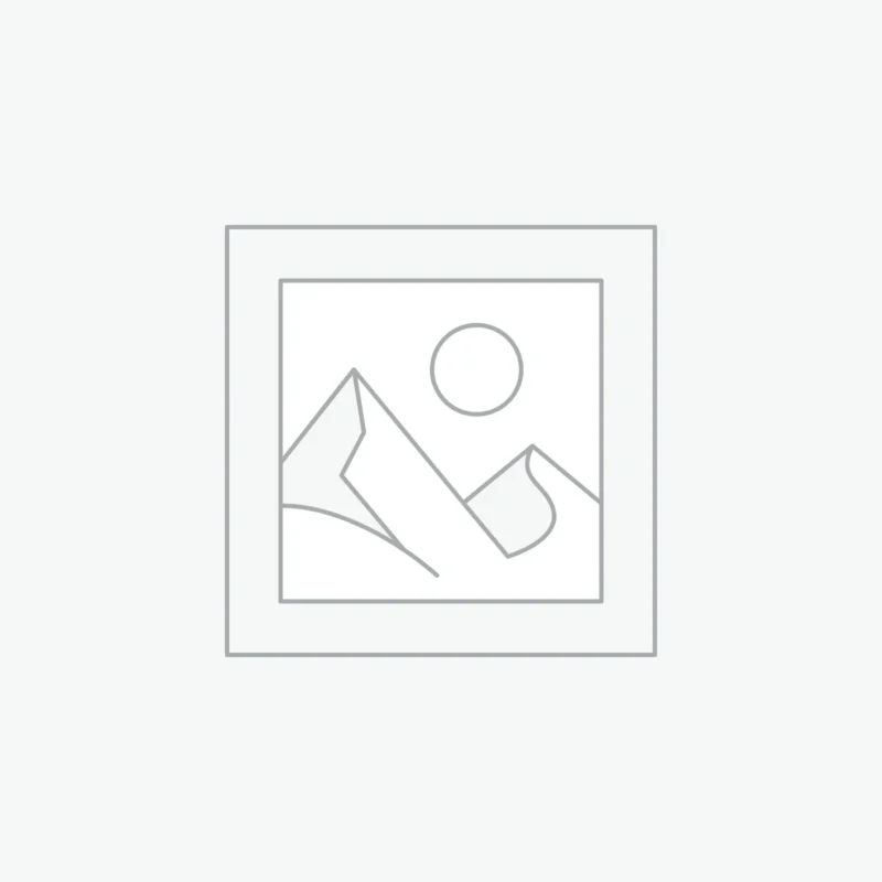 No-Code Developer