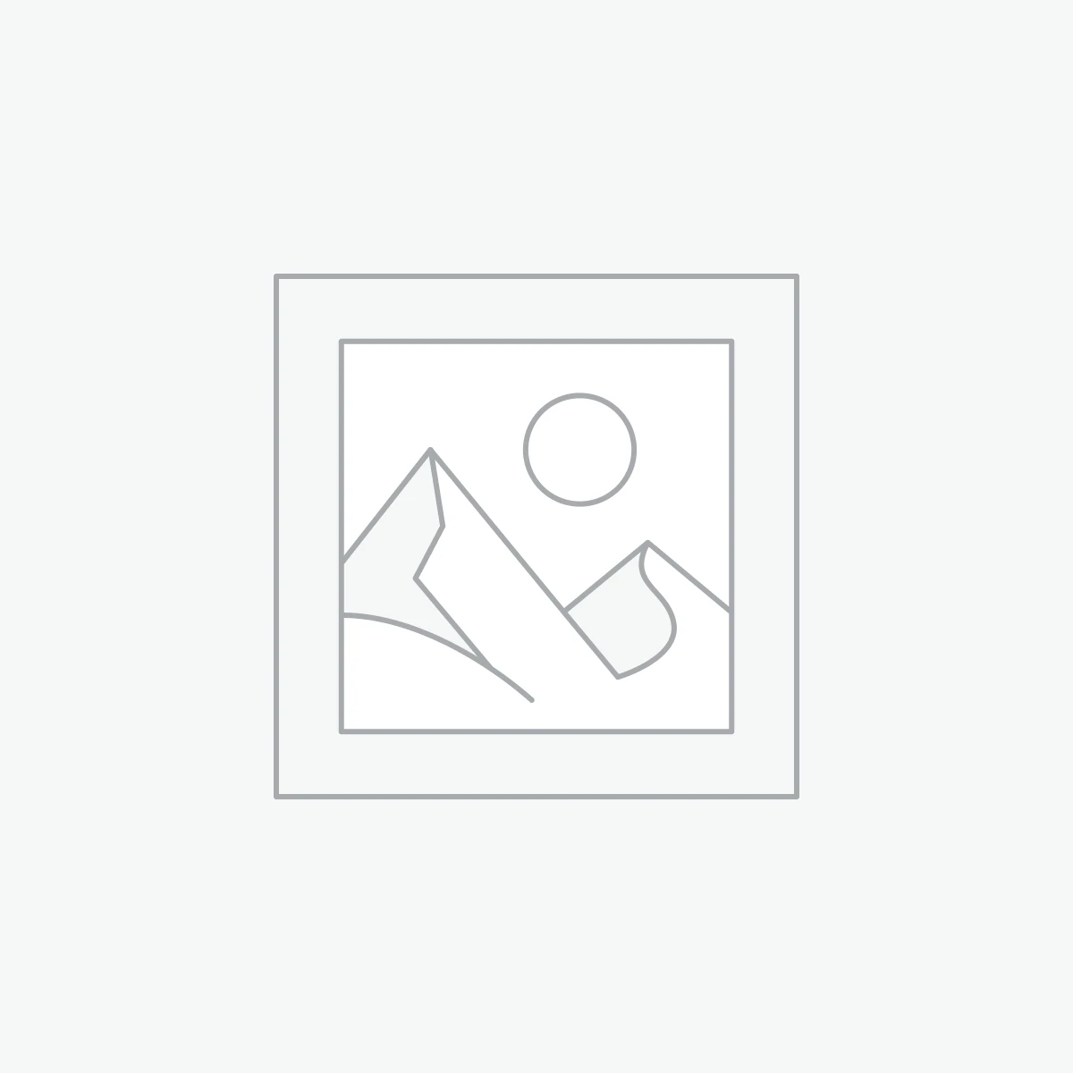 No-Code Developer